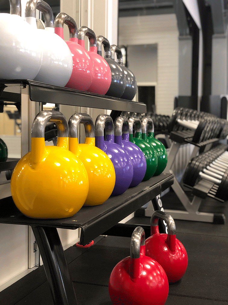 Färgglada kettlebells med vikt från 4kg till 32 kg att träna med i gymmet
